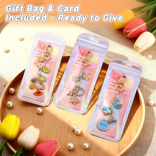 Image of Wurosi 25 Set Paperclip Keychain Making Kit, Bag Charm Kit, 25 Keychain Clips, 25 Extender Chain, 25 Resealable Pouch Bag, 25 Thank You Cards, 5M Hemp Rope, Jewelry Making Kit for DIY Keyrings Charms