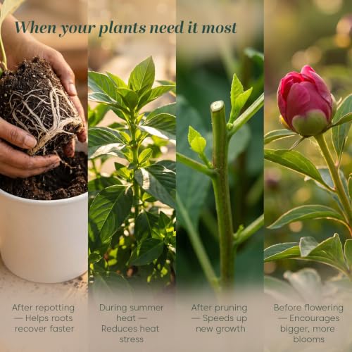 Image of Kyari Seaweed Extract Liquid Fertilizer 250 ml - Organic Plant Growth Booster for Home Garden, Indoor & Outdoor Plants, Potted Plants - Seaweed Plant Food - 100% Natural for Plant Parents