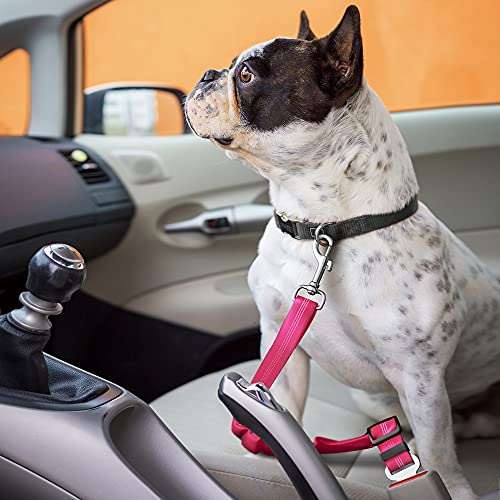 Seat Belt for Dogs with Elastic Bungee Buffer | Car Travel Accessories for Dogs Adjustible, Elastic (Pink)