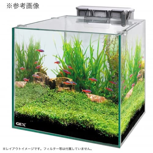 Amazon.co.jp: GEX AQUARIUM グラステリア300キューブ 水槽3年