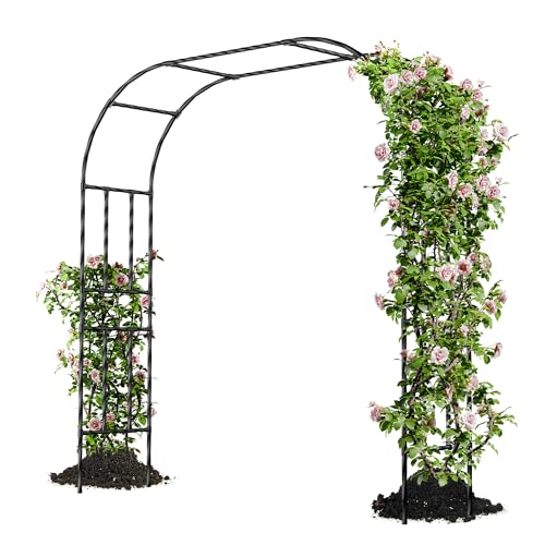 Caroeas Arche de Jardin pour Plantes Grimpantes,180x240x40cm，Arceau Métallique pour Rosiers, Tonnelle Décorative Extérieure, Résistante à la Rouille et à la Décoloration