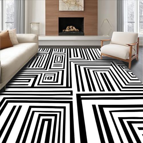 ODIKA Flatwoven High Traffic Area Rug 4x6, Monochrome Maze Abstract