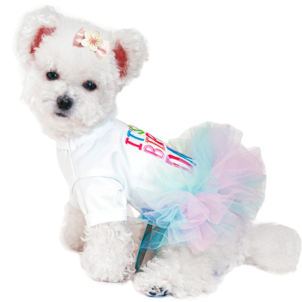ANIAC Girl Dog Birthday Tutu Dresses Puppy Lace Skirt and Hairpin Cat Birthday Princess Dress Pet Clothes for Cats Small Dogs (X-Small, White)