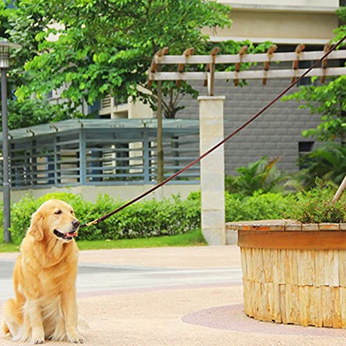 TAPIVA Dog Leash Heavy-Duty and Reflective