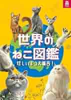 ねこページ ねこ no.126【表紙：JO1 木全翔也 別冊付録：カレンダー