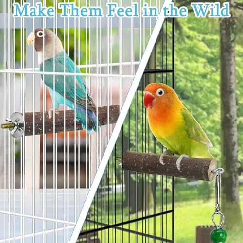 Image of Hamiledyi Bird Perch Stand Toy, Natural Wood Bird Perch Stand Birds Perch Toys with Rotating Balls Parakeet Toys for Parakeets Cockatiels Conures Budgies Finches Love Birds