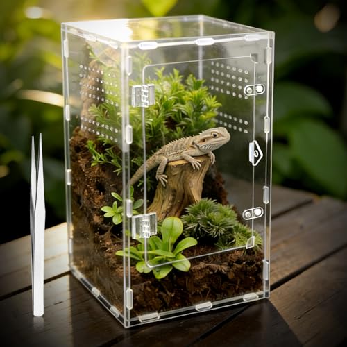 GTSEEMUU Jumping Spider Enclosure Insect Terrarium Bug Cage 20 x 20 x 35 cm Acrylic Terrarium for Tarantula Snail Praying Mantis Frog and Small Reptiles