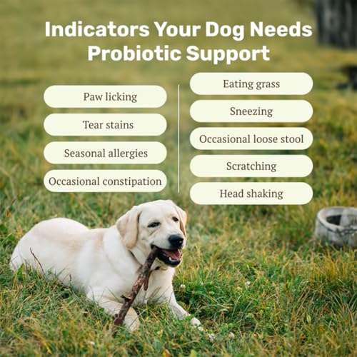 Image of Absolut Pet Probiotic Gut Health Chews for Dogs |90 Chews