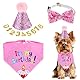 Qianyu Hunde Geburtstag Hut Bandana Set 3 Stücke Hunde Geburtstags Bandana Mütze mit 9 Bling Nummern Hund Geburtstag Deko Haustier Alles Gute Zum Geburtstag Liefert für Welpenkatzenhaustie