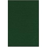 Kunin Eco-Fi Plus Premium Felt Pack 12"X18" 12pc-Kelly Green
