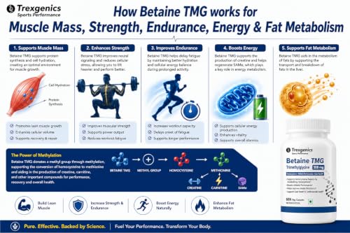 Image of Trexgenics BETAINE - TMG (Trimethyglycine) 500 MG Homocysteine Balance, Liver Care, Athletic Performance Support (60 Veg Capsules) (Pack of 2)