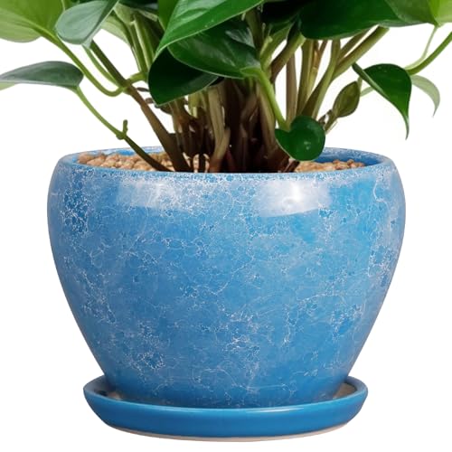 Ceramicfor 6 Inch Plant Pot - Ceramic Planter Pot with
