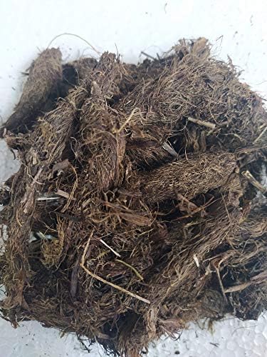 Ambe Ayurveda - Jatamasi Root - Jatamansi Musk Root - Spikenard - Balchad - 100gm