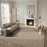 Safavieh Athens Shag Collection SGA119G Beige Area Rug (8' x 10')
