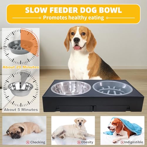 TUAHOO Erhöhte Hundenäpfe Futterstation, 5 Höhenverstellbar Futternapf für Mittlere Große Hunde mit 2×1,2L Edelstahlschüsseln und 0,8L auslaufsicherem Hundenapf