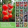 Vegetable Garden Seed Vault for Planting – 15 Pack Collection | Heirloom Non-GMO Family Garden Kit & Gift – Tomato, Lettuce, Cucumber & Squash – Indoor or Outdoor Growing – Survival Garden Seeds #2