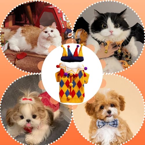 Suéteres para perros pequeños que evitan tiritar de frío en invierno 6