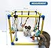 Dewonch Welpenspielstudio mit 8 hängenden Spielzeugen, kleine Hunde Indoor Dschungel Gym, PVC-Rahmen mit Bungee-Gurten Bereicherung Activity Center