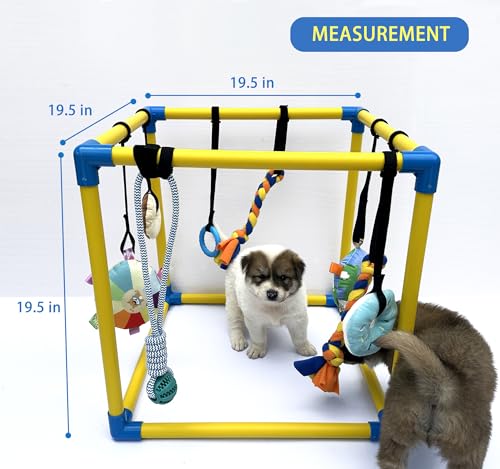 Dewonch Welpenspielstudio mit 8 hängenden Spielzeugen, kleine Hunde Indoor Dschungel Gym, PVC-Rahmen mit Bungee-Gurten Bereicherung Activity Center