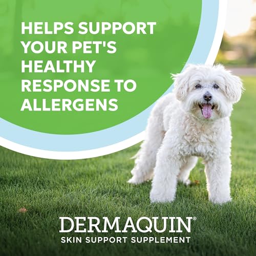 Nutramax Dermaquin Skin Support Supplement for Small to Medium Dogs and Cats, Supports Healthy Response to Allergens, with Hardy Kiwi, Omega-3s, and More, Tasty Soft Chews, 60 Count - Image 2