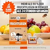 Fruchtfliegenfalle Test Fruchtfliegenfalle Test