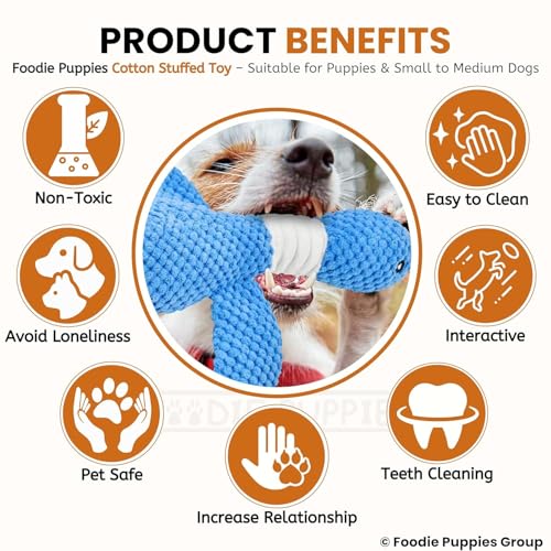 Image of Foodie Puppies Interactive Dog Squeaky Plush Toy - (Blue Swan) | Durable Crinkle Papered, Cotton Stuffed Chew Toy for Teething, Cuddling, Playing and Training | for Small to Medium Dogs (Size: 30cm)