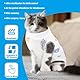 WLLHYF Genesungsanzug für Katzen, Atmungsaktiver Einteiler für Kätzchen Ganzkörper-Kleidung Spay-Kegel Nach Kastrationsoperationen Anti-Lecken Schutz für Bauchwunden (M)