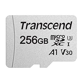 【動作確認済・簡易清掃済】NintendoSwitch HIDISC SD Express microSD Card 1TB Switch2動作確認済