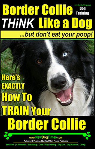 border collie potty training
