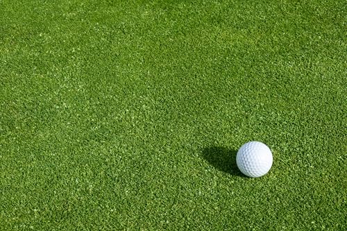 Creeping BentGrass Seeds 1 Pound