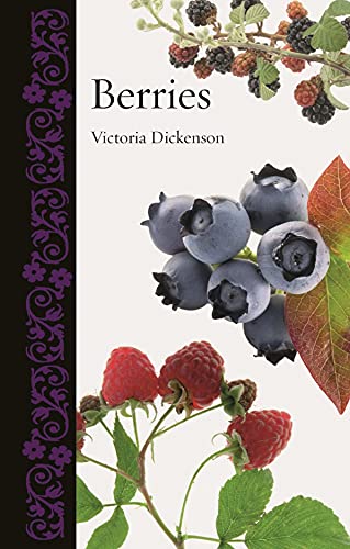 Berries (Botanical) view 2