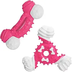 Kit 2 Brinquedo Osso Mordedor para Cachorro Pet - Anti-Stress e Diversão (Rosa)