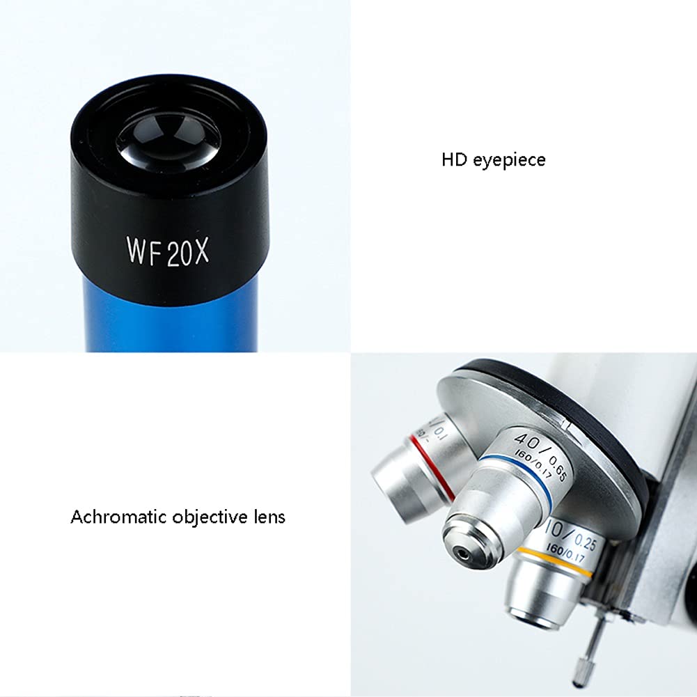 Microscopio per Laboratorio Microscopio Composto Microscopio per Principianti Illuminazione a LED e Specchio con oculare WF20X Adulti Studenti Bambini Laboratorio