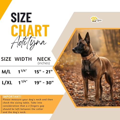 Image of ADITYNA Leather Dog Collar for Medium & Large Dogs, Adjustable 15-21 inch Neck | Padded, heavy-duty metal buckle. Great for walking, training and hiking - ideal for Labrador, Boxer, Pitbull and Collie.