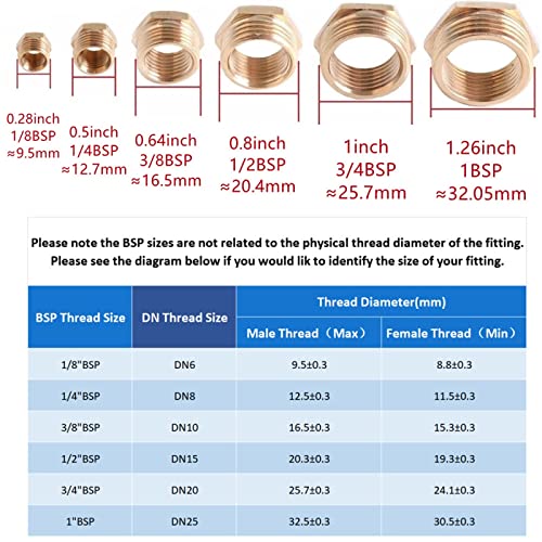 Accesorio BSP de latón estanco antifugas para control de agua gas y aceites 8