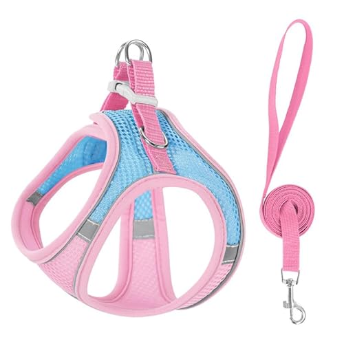 GXP[vv[t̏ȔL̃n[lXA_ulbNƋ̌ŒŃxXg̃XebvASȉOEH[LÔ߂̔˒\ȃbVn[lX Blue A xxs