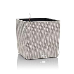 LECHUZA CUBE Cottage 50 Flechtoptik Blumenkasten