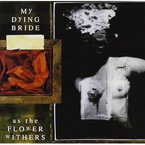 デスコア まとめ売り6枚セット デスメタル ブラックメタル ヘヴィメタル デスコア まとめ売り6枚セット デスメタル ブラックメタル