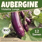 Little Plants BIO Aubergine Samen 12 Auberginensamen Violetta Lunga Gemüsesamen für Gemüsegarten Samenfest Gemüse Samen für Küche, Balkon und Garten