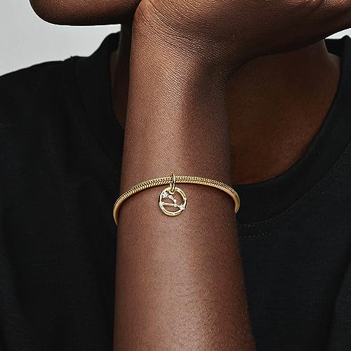 Colgante de oro de 14k Zodiaco con circonitas sofisticación para tu pulsera Moments 4