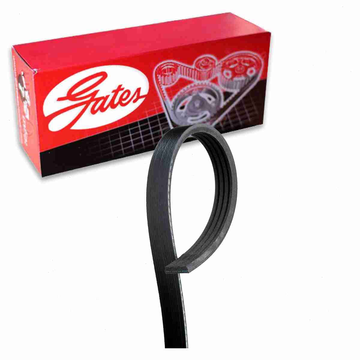 Gates Alternator Micro-V Serpentine Belt Compatible with Honda CR-V 2.0L L4 1999-2001