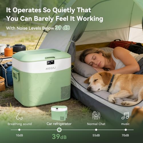 Portable Car Refrigerator Compressor