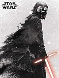 Impresión de alta calidad Funko Pop! - Star Wars (Episode 9) - Lienzo 30X40 (Windows)