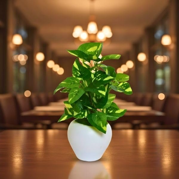 Image of fancymart Artificial Plant Leaves in Apple Pot (30 cm Height) | Small Potted Plant for Office Desk | Home Decor for Living Room | Cafe & Restaurant Table Decoration
