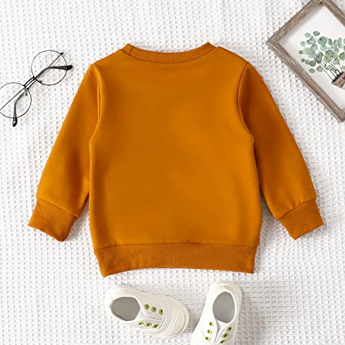 Image of Baby Boy Girl Pumpkin Sweatshirt Tops Toddler Halloween Outfit Long Sleeve Crewneck Pullover Sweater Shirt Fall Clothes