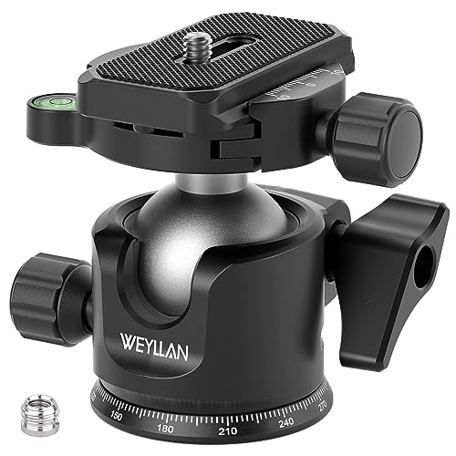 WEYLLAN 36mm Panorama Kugelkopf Stativkopf