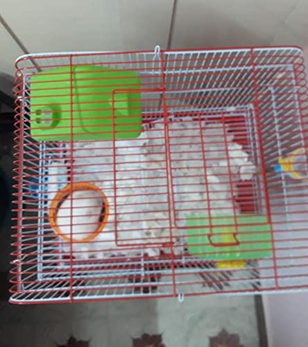 Image of Cage /Playhouse for Dwarf Hamster /Gerbil /Mice with a Food Cup, Water Bottle and Exercise Wheel with Spacious Two ladders cage (37Cm x 28 cm x 35 cm )- [ Colors May Vary ]