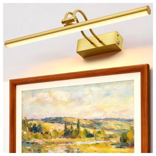 RAIFOOLLY Picture Light, 16in Battery Operated Picture Lights for Paintings,Metal Remote Control Display Art Light with Timer and Dimmable for Wall Painting,Frame, Portrait, Dartboard-Brass