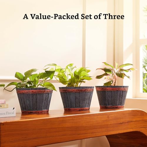 Image of Amazon Brand- Solimo Indoor and Outdoor Round 8 Inch Barrel Flower Planter Pot Best for Terrace /Balcony /Home /Office Decor - Set of 3
