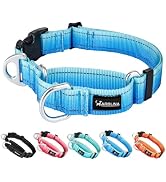 Arblina Martingale Collar for Dogs with UTX Buckle Reflective Ombre Nylon Dog Collar for No Pull ...